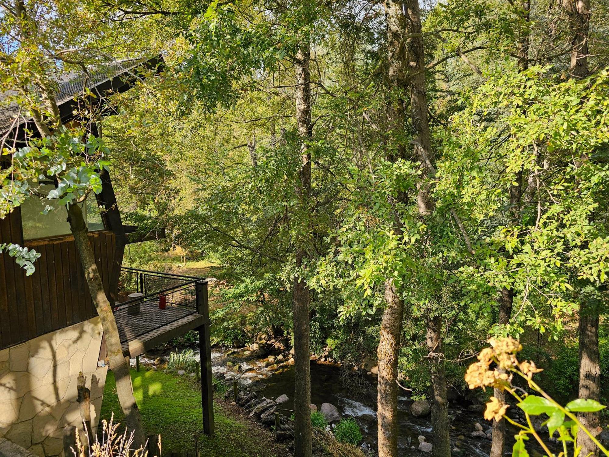 Das Rosenhaus Apart Hotel By Rosas Blancas San Martín de los Andes Exterior foto